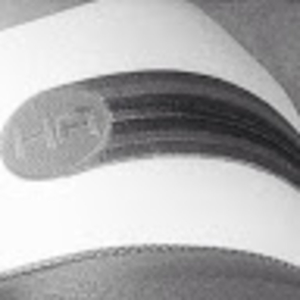 Meet your Posher, Alana